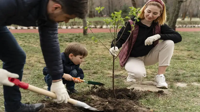 Planting Trees: Tips for Beginners