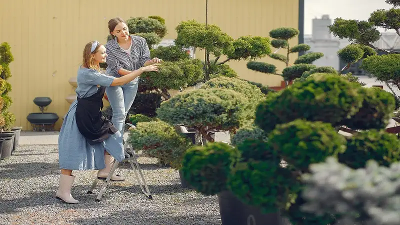 Functional and Beautiful Landscape Design Made Easy