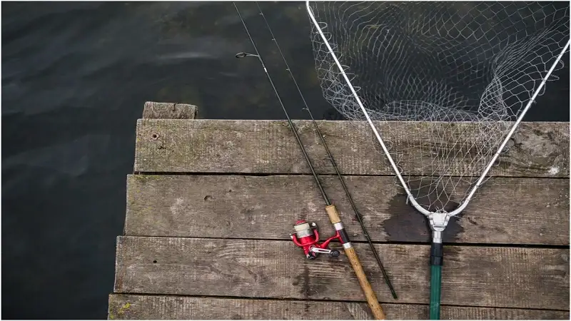 Fishing and Outdoor Adventures Around Virginia