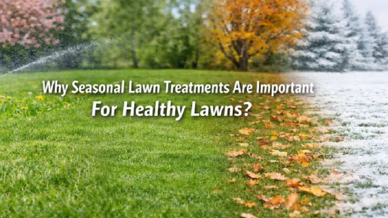 Why Seasonal Lawn Treatments Are Important For Healthy Lawns? 