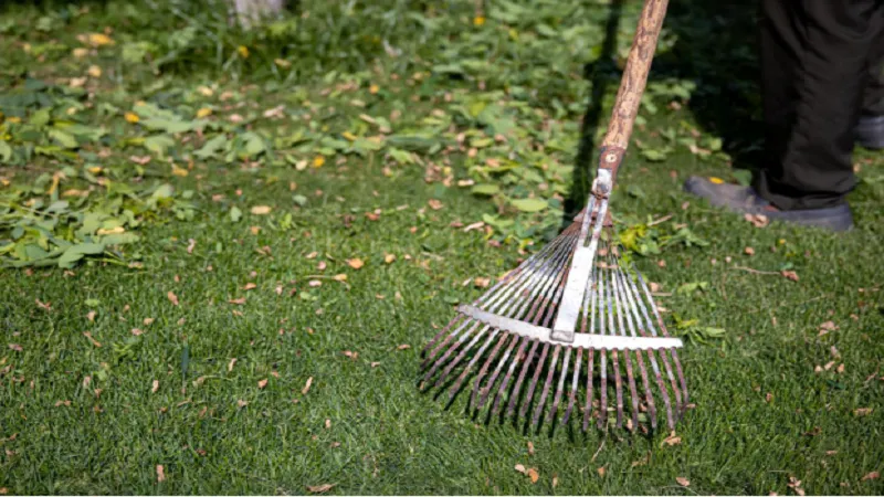 Why Seasonal Lawn Treatments Are Important For Healthy Lawns?